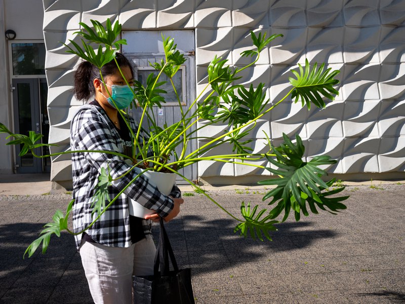 Jean-Pierre Damen urban and street photography - L1000149 3.jpg