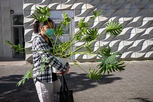 Jean-Pierre Damen urban and street photography - L1000149_lucid