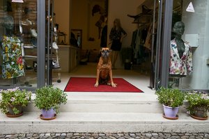 Jean-Pierre Damen urban and street photography - L1001031-2