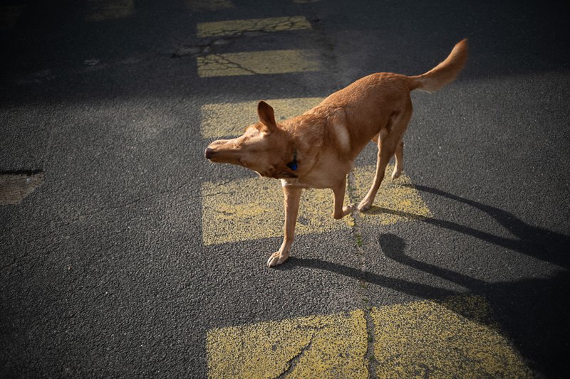 Jean-Pierre Damen urban and street photography - L1006054-3