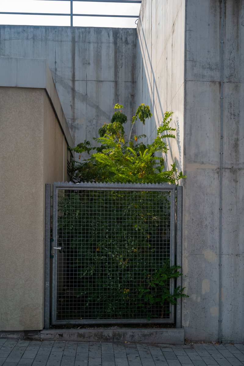 Jean-Pierre Damen urban and street photography - L1009272.jpg