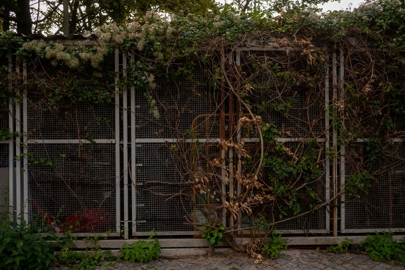 Jean-Pierre Damen urban and street photography - L1001784.jpg